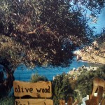 Olivetree-skiathos07